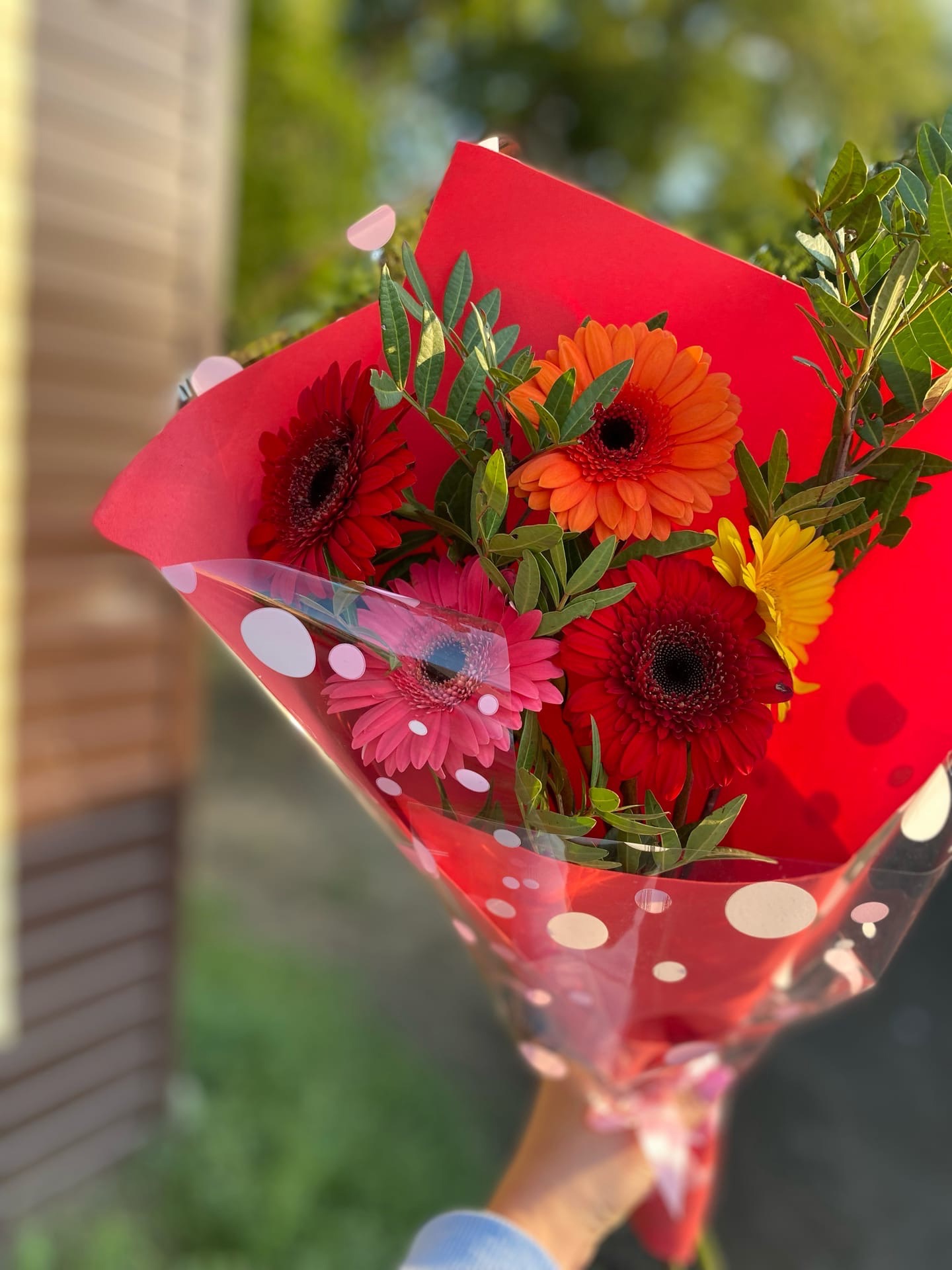 Букет из гербер