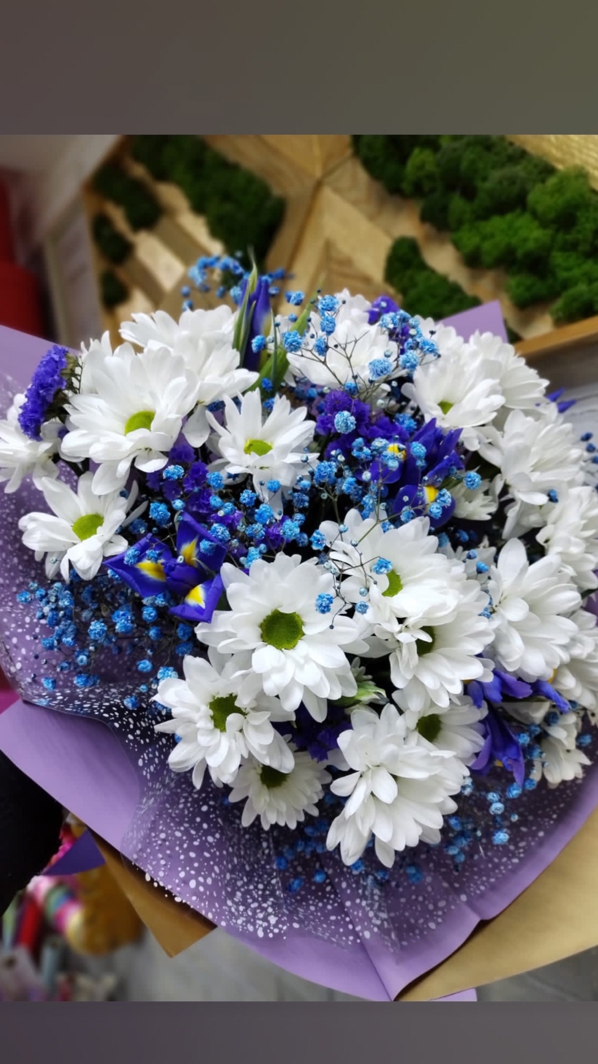 Букет из хризантем,гипсофил,ирисов